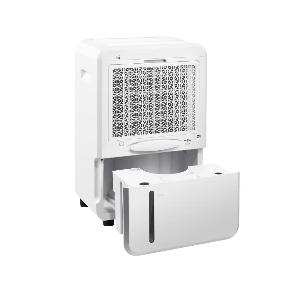 Почему в квартире появляется плесень и как осушитель решит эту проблему